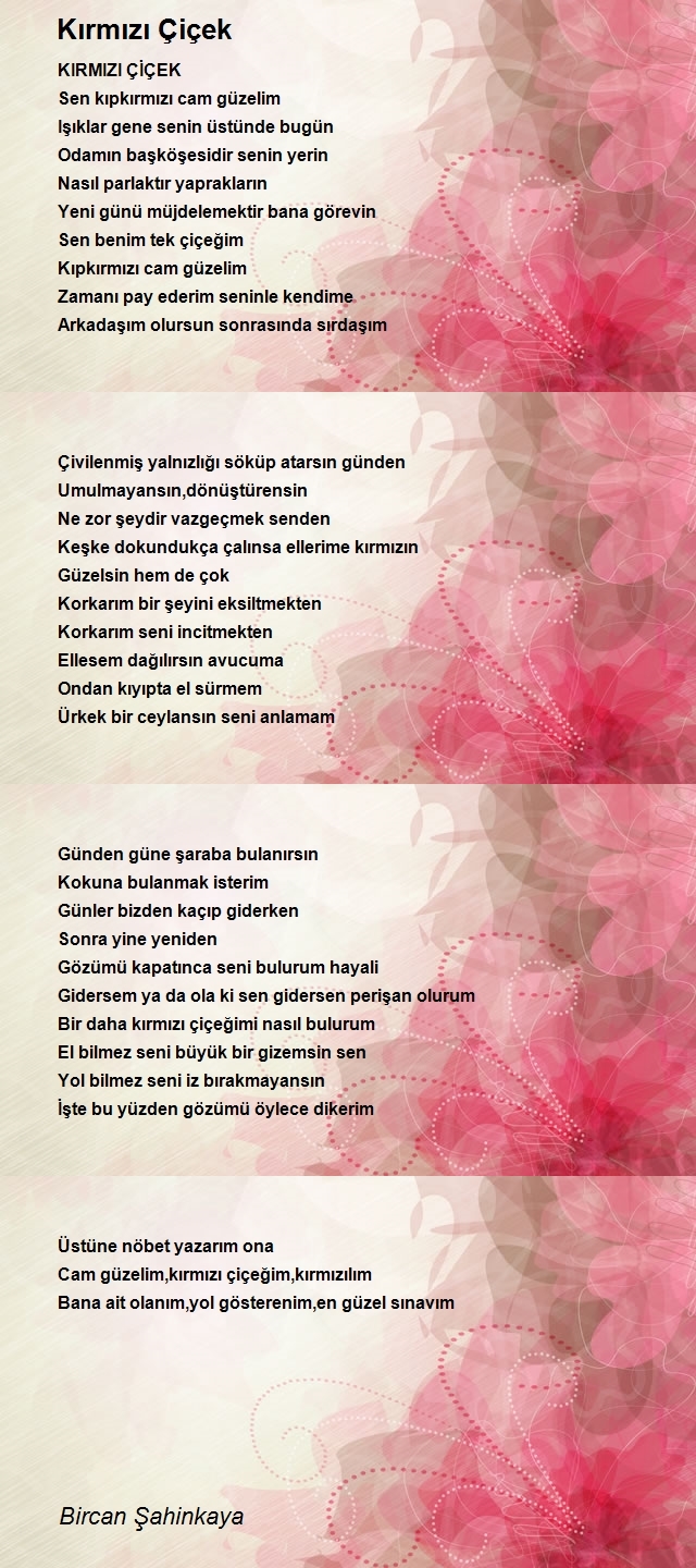 Bircan Şahinkaya