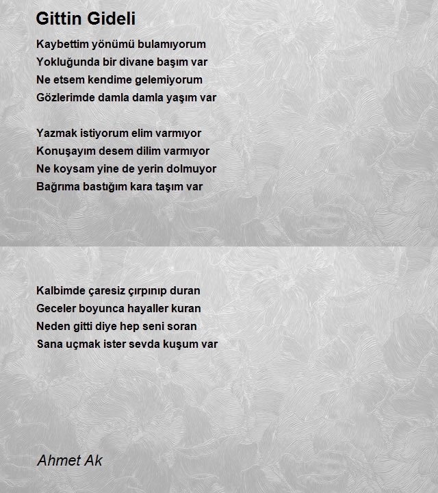 Ahmet Ak