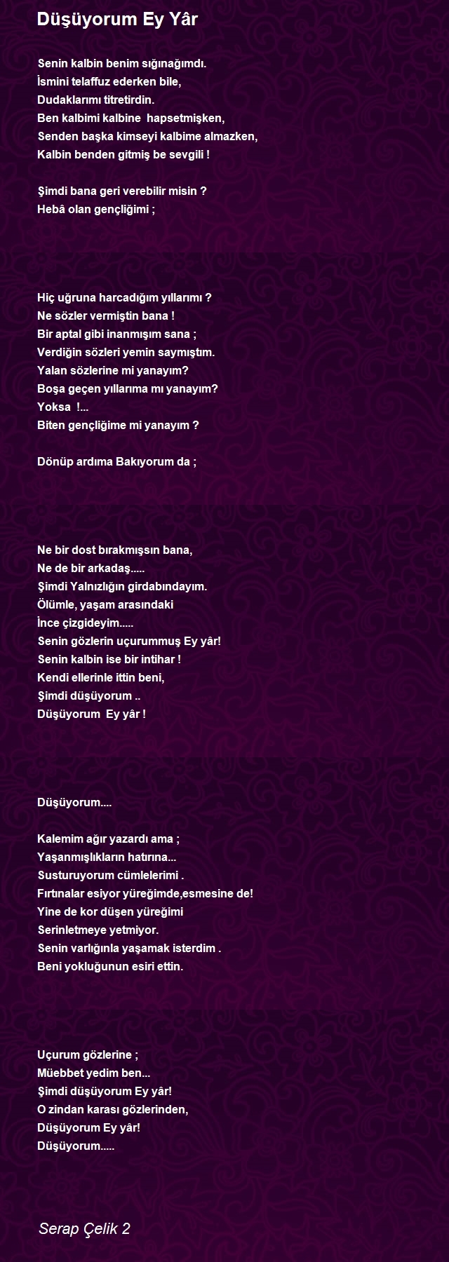 Serap Çelik 2