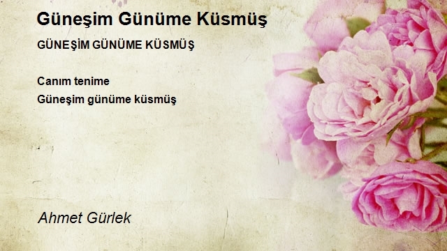 Ahmet Gürlek
