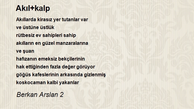 Berkan Arslan 2