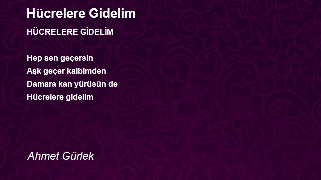 Ahmet Gürlek