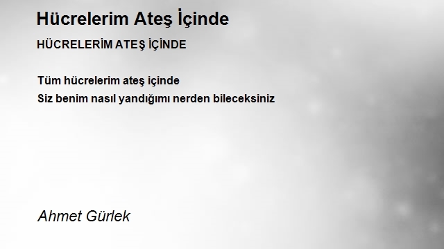 Ahmet Gürlek