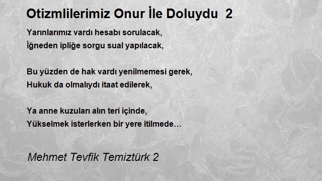 Mehmet Tevfik Temiztürk 2