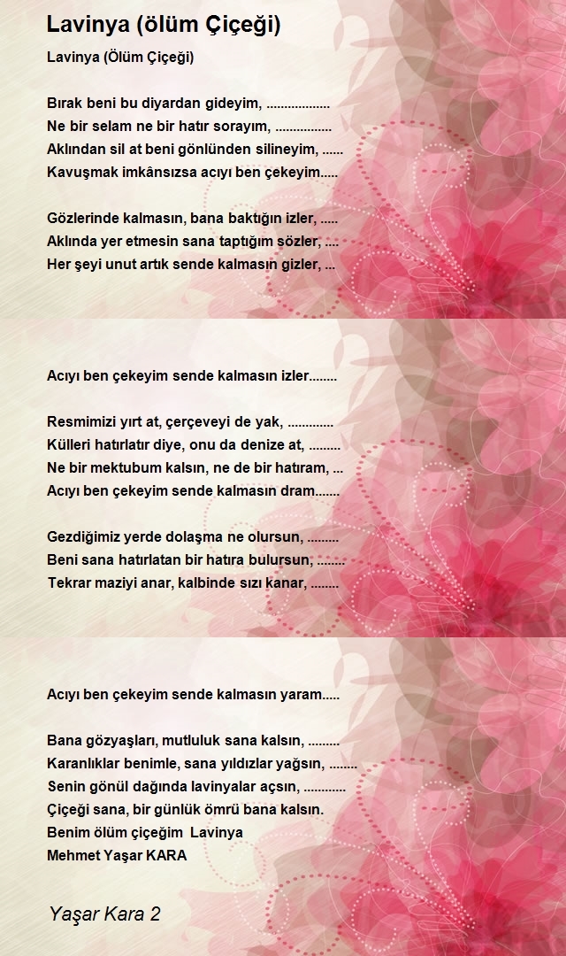 Yaşar Kara 2