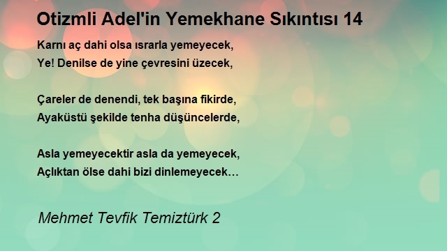 Mehmet Tevfik Temiztürk 2