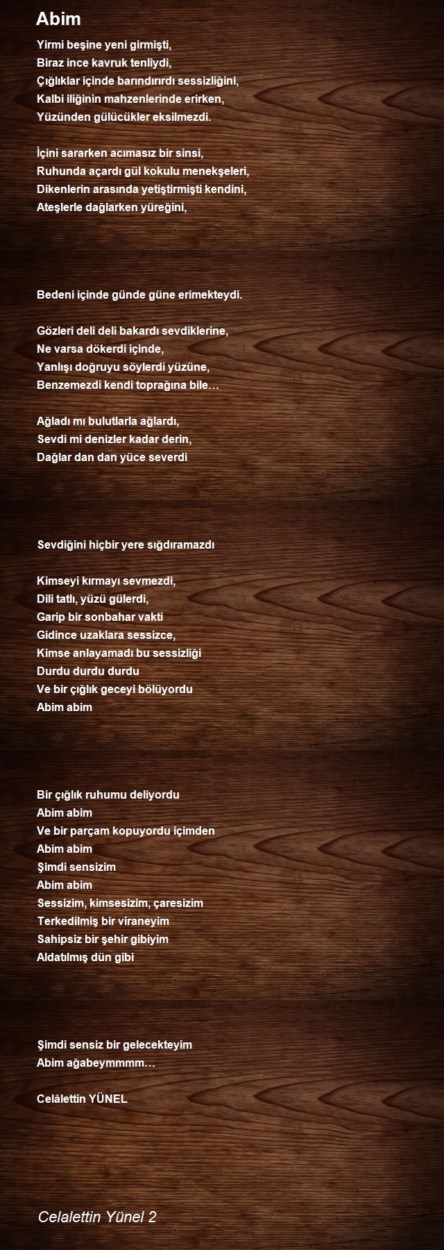 Celalettin Yünel