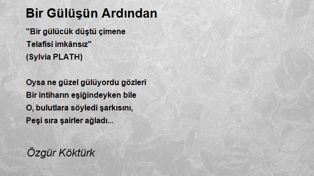 Özgür Köktürk