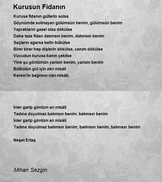Mihan Sezgin