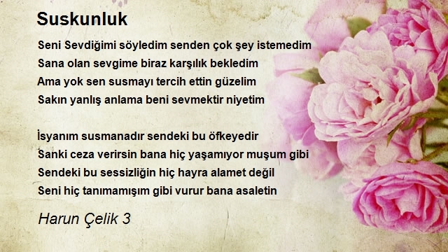 Harun Çelik 3