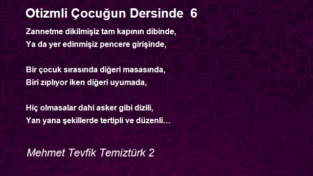 Mehmet Tevfik Temiztürk 2