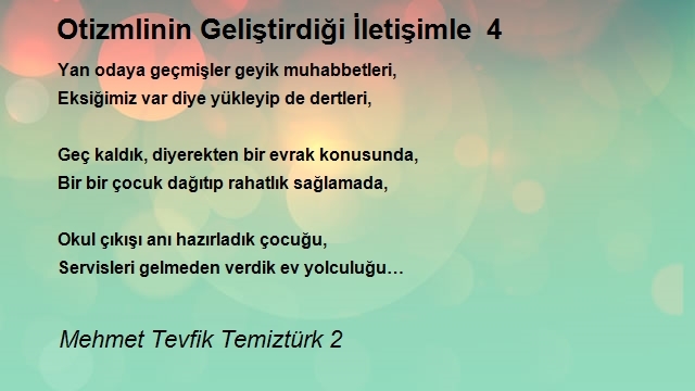 Mehmet Tevfik Temiztürk 2