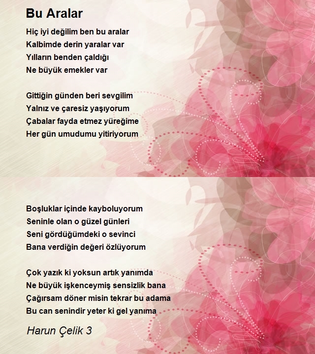 Harun Çelik 3