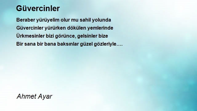 Ahmet Ayar