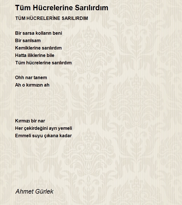 Ahmet Gürlek