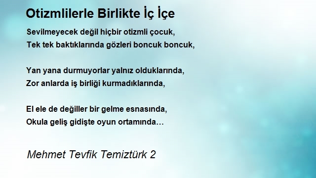 Mehmet Tevfik Temiztürk 2