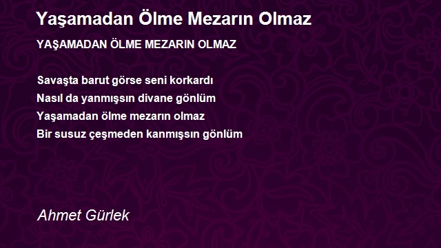 Ahmet Gürlek