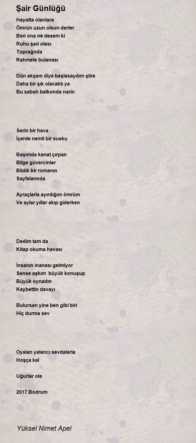 Yüksel Nimet Apel