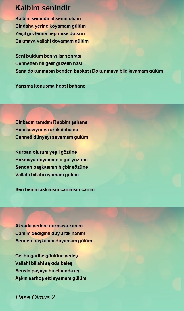 Pasa Olmuş 3