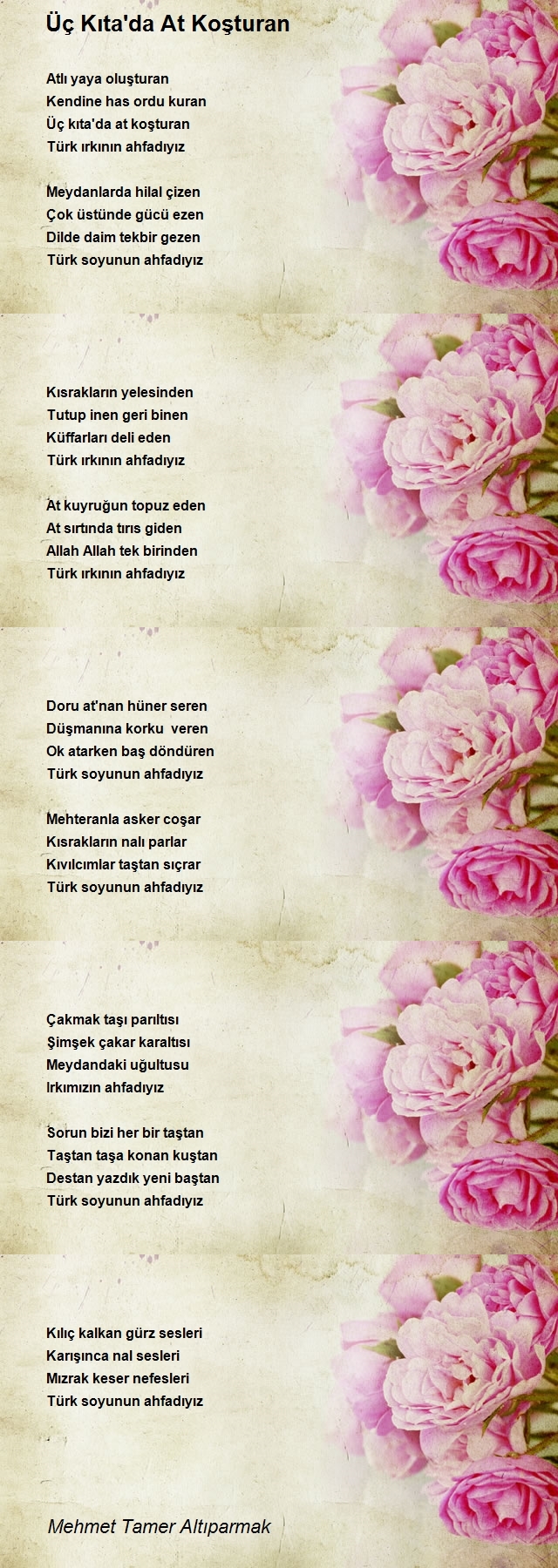 Mehmet Tamer Altıparmak