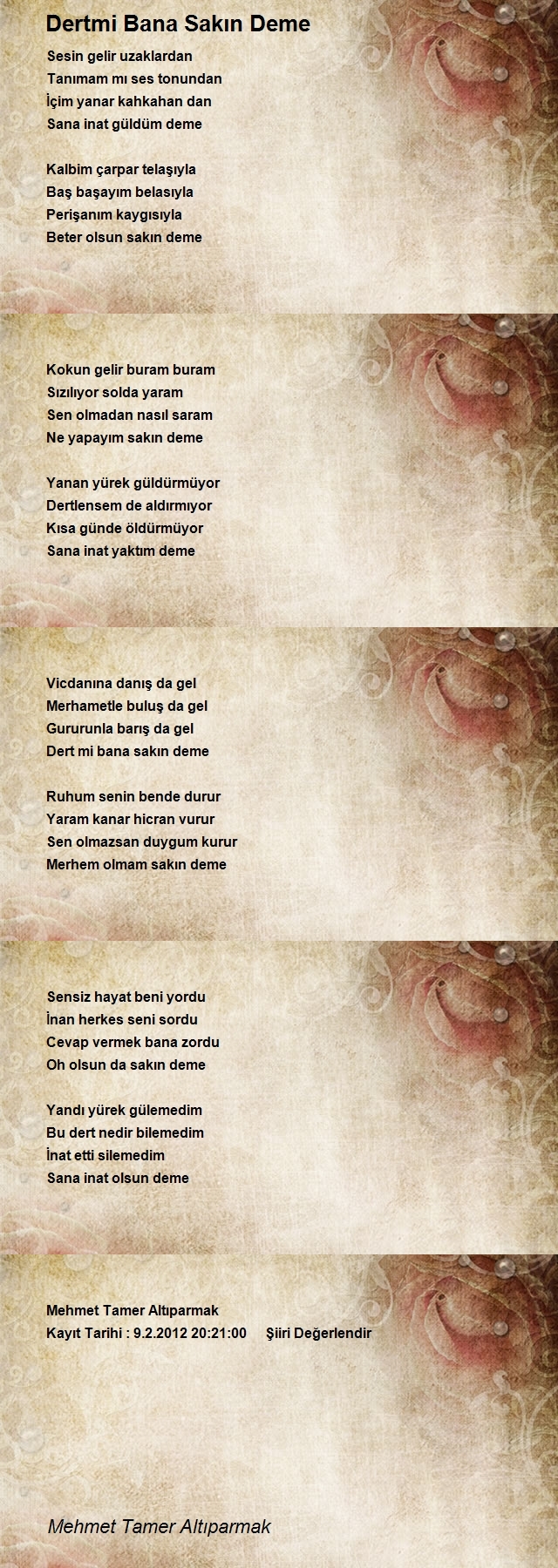 Mehmet Tamer Altıparmak