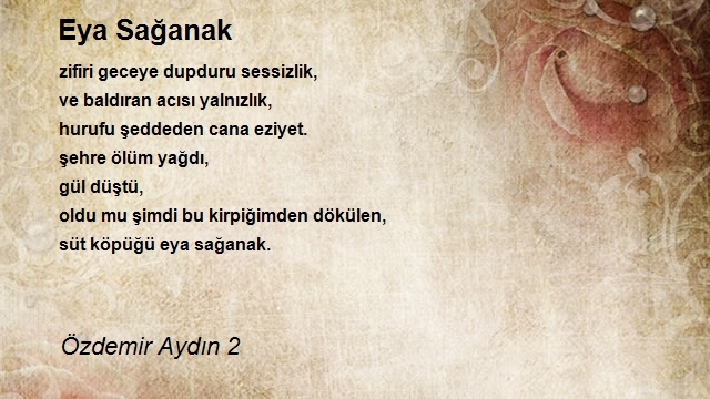 Özdemir Aydın 2
