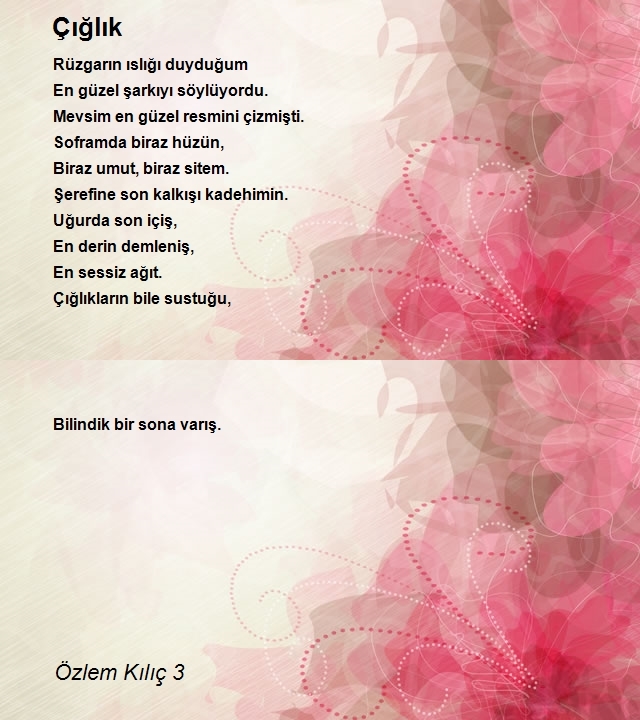 Özlem Kılıç 3