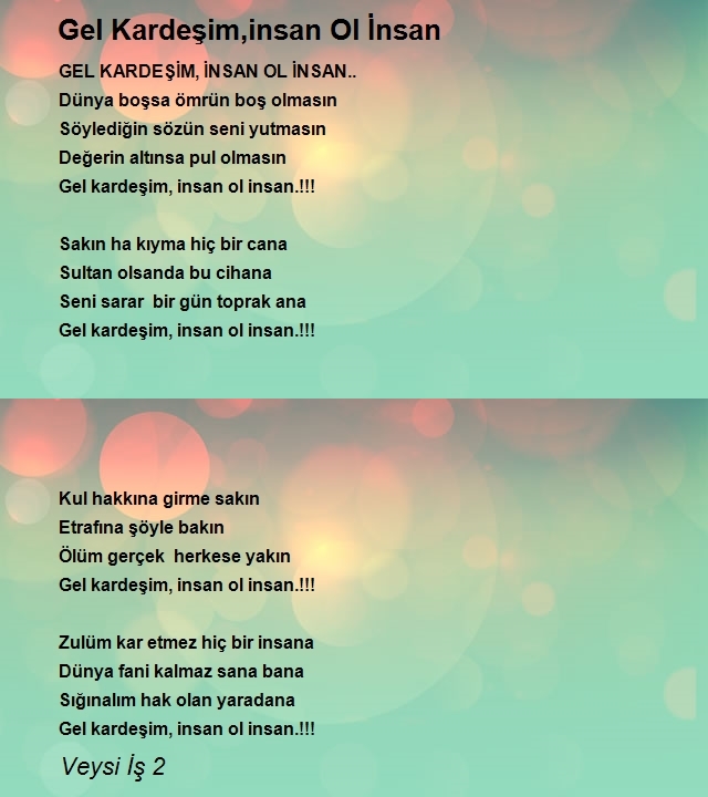 Veysi İş 2