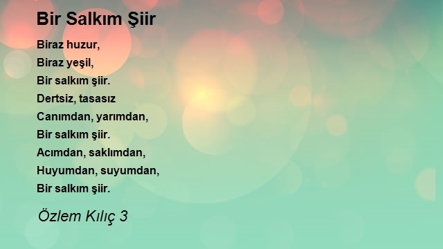Özlem Kılıç 3