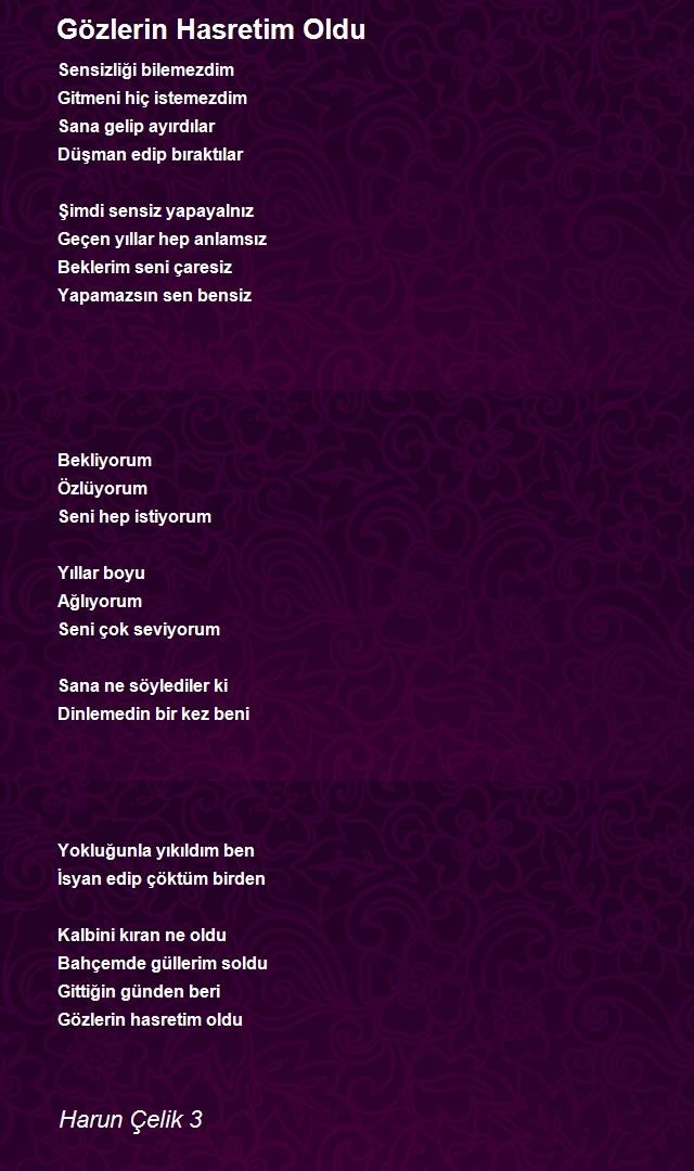 Harun Çelik 3
