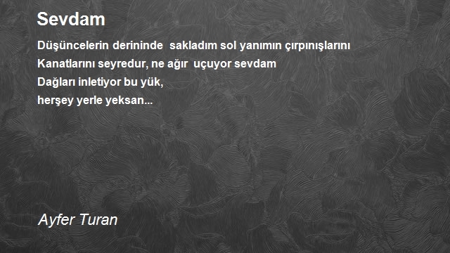 Ayfer Turan
