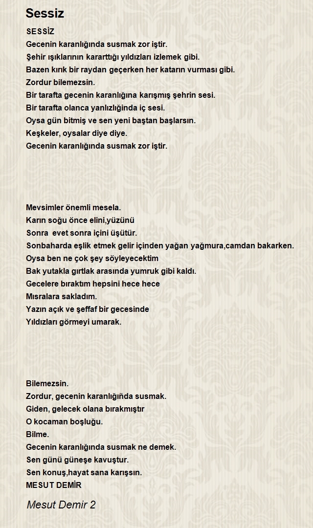 Mesut Demir 2