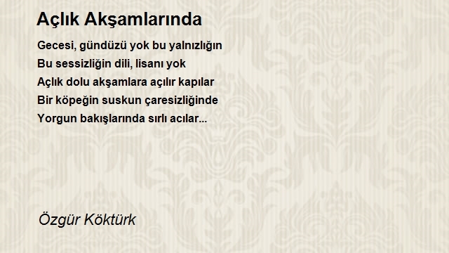 Özgür Köktürk