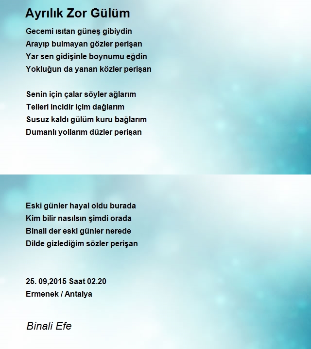 Binali Efe