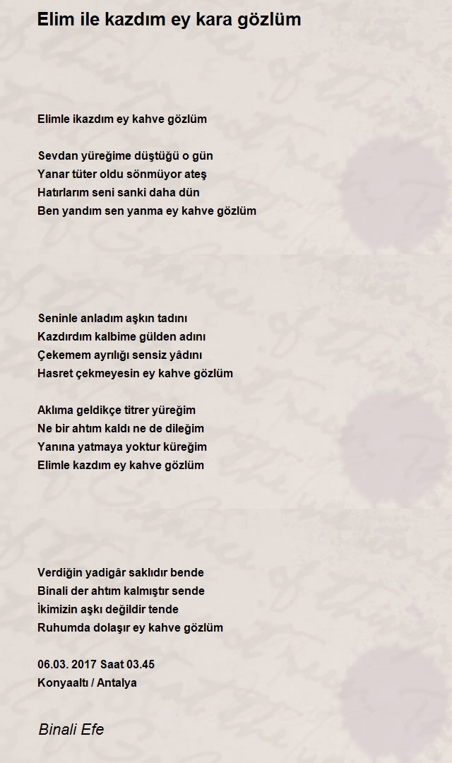 Binali Efe