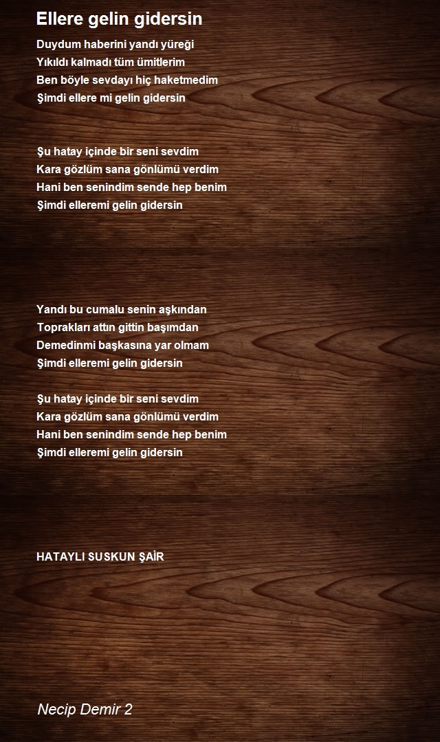 Necip Demir 2