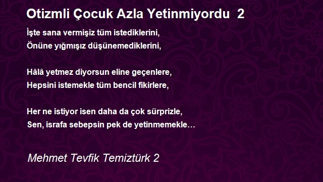 Mehmet Tevfik Temiztürk 2