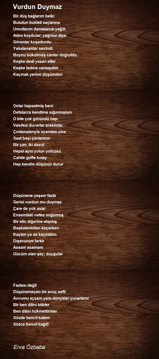 Erva Özbaba