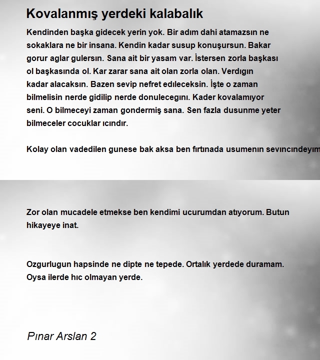 Pınar Arslan 2