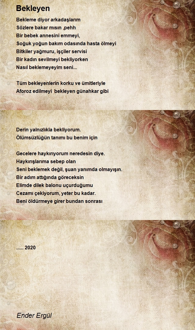 Ender Ergül