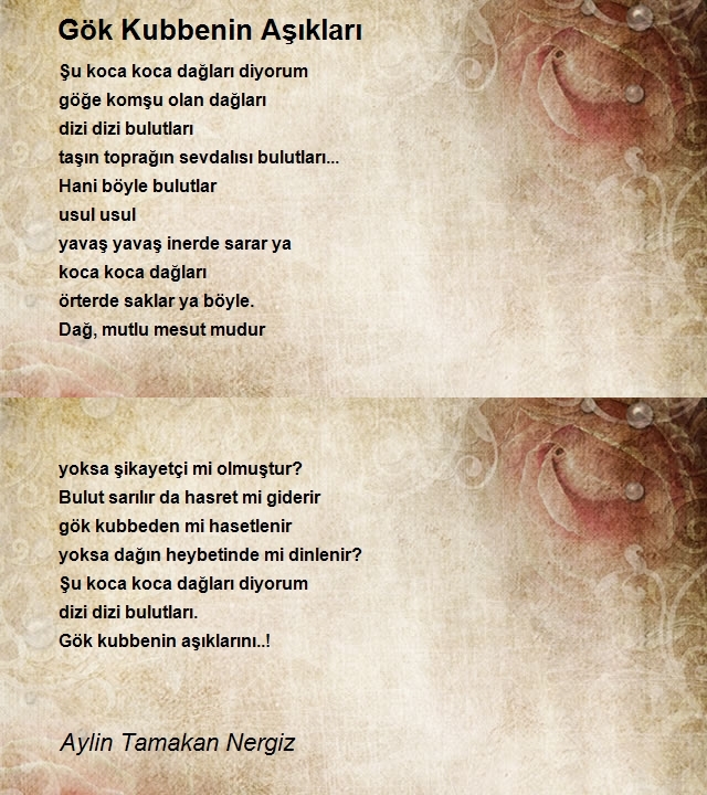 Aylin Tamakan Nergiz