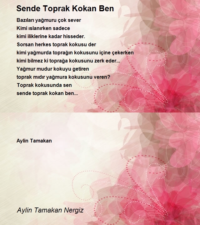 Aylin Tamakan Nergiz