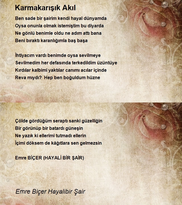 Emre Biçer Hayali Bir Şair