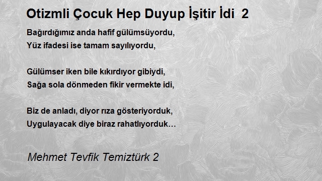 Mehmet Tevfik Temiztürk 2
