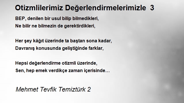 Mehmet Tevfik Temiztürk 2