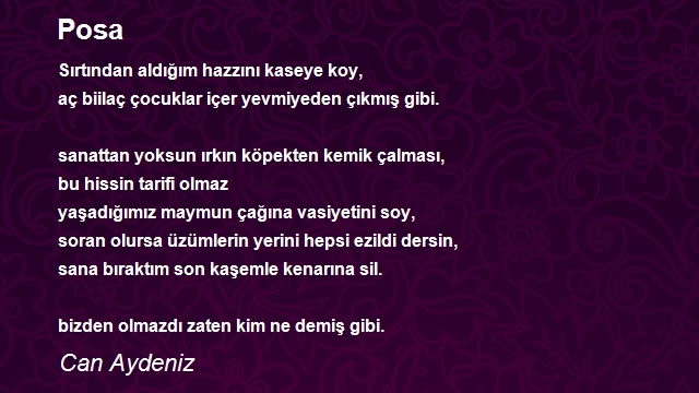 Can Aydeniz