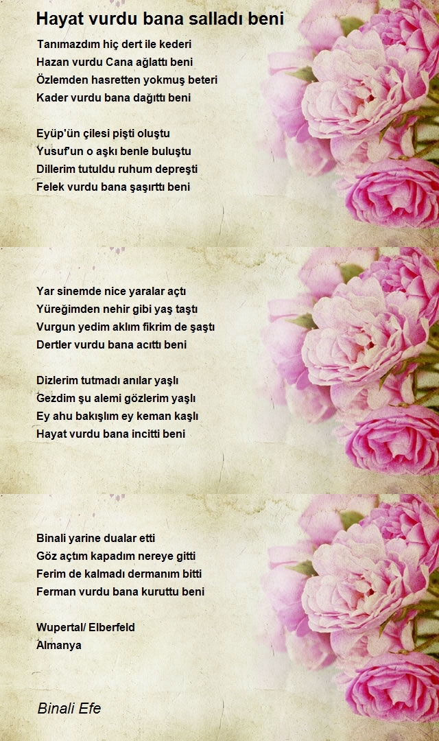 Binali Efe