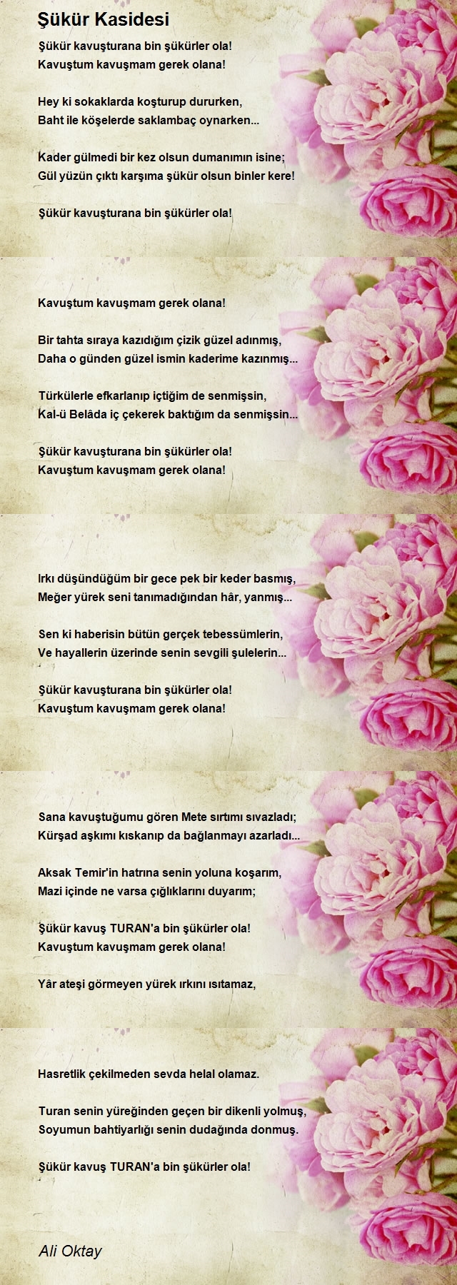 Ali Oktay