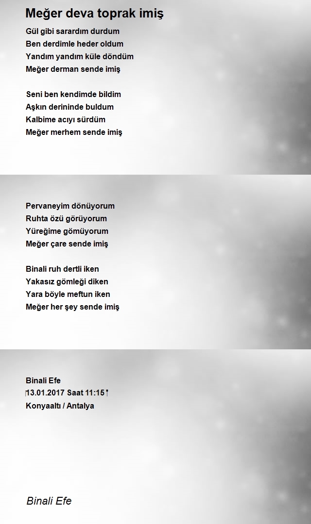 Binali Efe