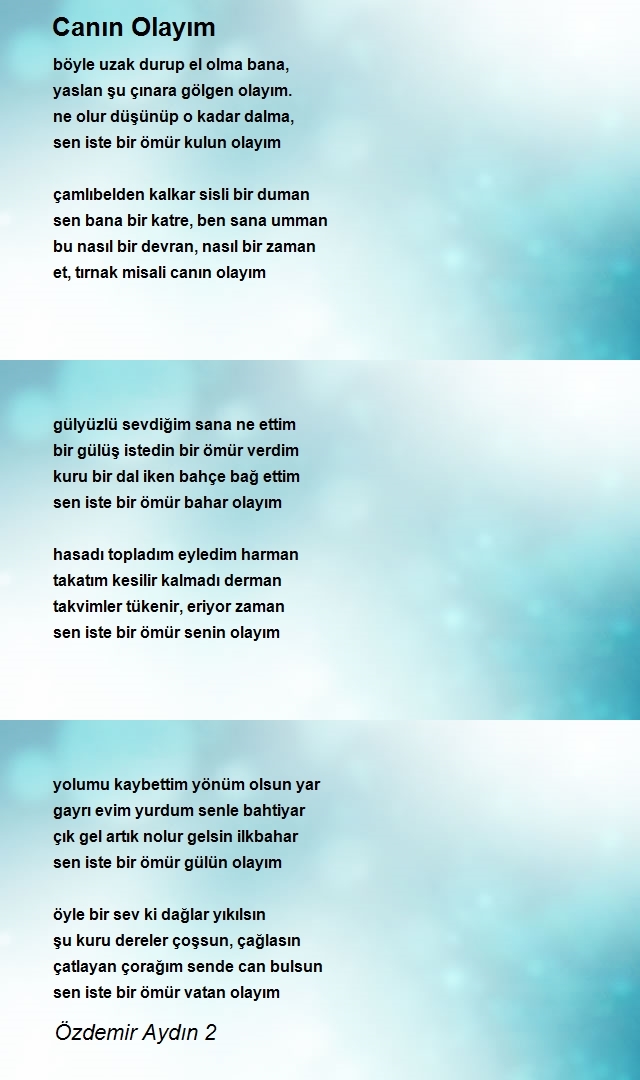 Özdemir Aydın 2